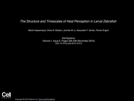 The Structure and Timescales of Heat Perception in Larval Zebrafish