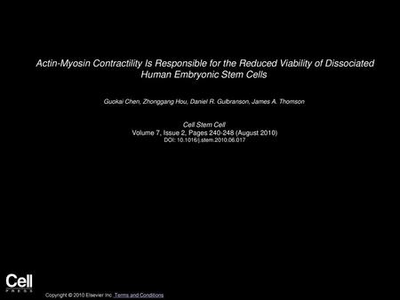 Actin-Myosin Contractility Is Responsible for the Reduced Viability of Dissociated Human Embryonic Stem Cells  Guokai Chen, Zhonggang Hou, Daniel R. Gulbranson,