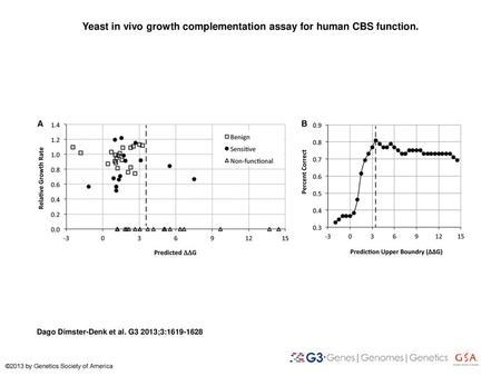 Yeast in vivo growth complementation assay for human CBS function.