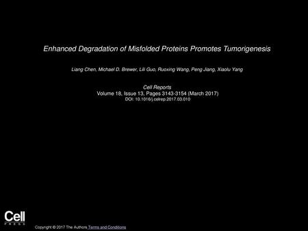 Enhanced Degradation of Misfolded Proteins Promotes Tumorigenesis