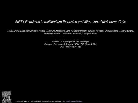 SIRT1 Regulates Lamellipodium Extension and Migration of Melanoma Cells  Risa Kunimoto, Kowichi Jimbow, Akihiko Tanimura, Masahiro Sato, Kouhei Horimoto,