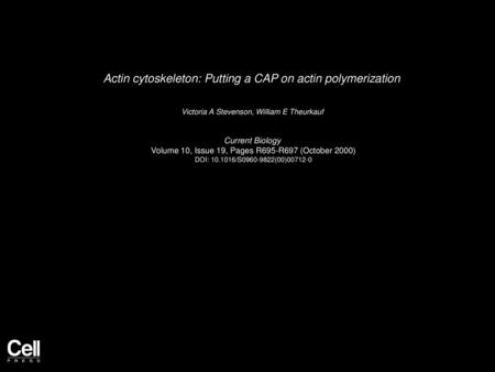 Actin cytoskeleton: Putting a CAP on actin polymerization