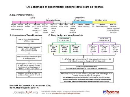 (A) Schematic of experimental timeline; details are as follows.