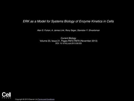 ERK as a Model for Systems Biology of Enzyme Kinetics in Cells