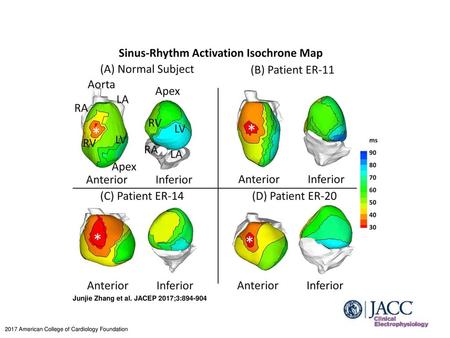 Junjie Zhang et al. JACEP 2017;3: