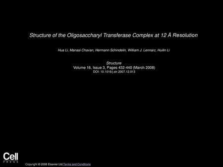 Structure of the Oligosaccharyl Transferase Complex at 12 Å Resolution