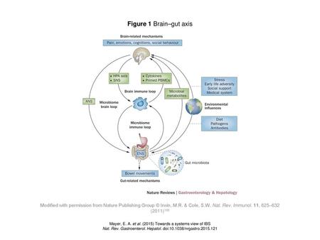 Figure 1 Brain–gut axis Brain–gut axis. Schematic of the brain–gut axis, including inputs from the gut microbiota, the ENS, the immune system and the external.