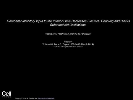 Cerebellar Inhibitory Input to the Inferior Olive Decreases Electrical Coupling and Blocks Subthreshold Oscillations  Yaara Lefler, Yosef Yarom, Marylka Yoe.