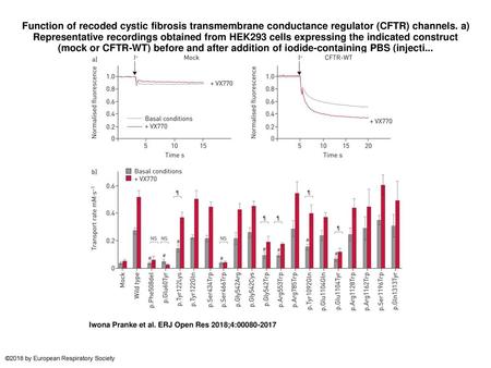 Function of recoded cystic fibrosis transmembrane conductance regulator (CFTR) channels. a) Representative recordings obtained from HEK293 cells expressing.