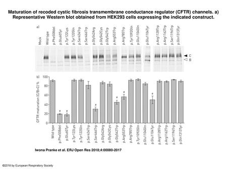 Maturation of recoded cystic fibrosis transmembrane conductance regulator (CFTR) channels. a) Representative Western blot obtained from HEK293 cells expressing.