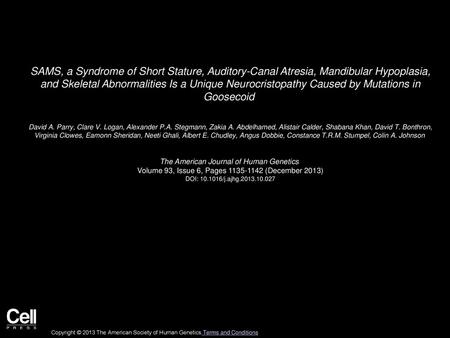 SAMS, a Syndrome of Short Stature, Auditory-Canal Atresia, Mandibular Hypoplasia, and Skeletal Abnormalities Is a Unique Neurocristopathy Caused by Mutations.