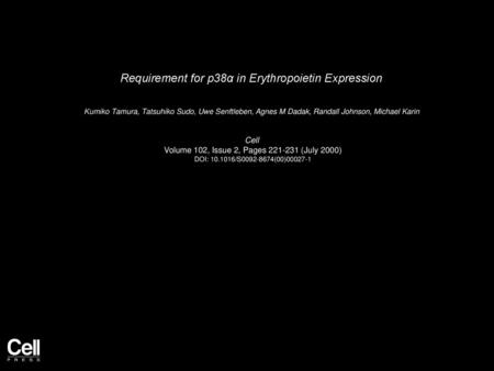 Requirement for p38α in Erythropoietin Expression