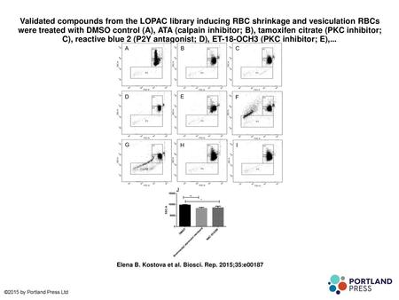 Validated compounds from the LOPAC library inducing RBC shrinkage and vesiculation RBCs were treated with DMSO control (A), ATA (calpain inhibitor; B),