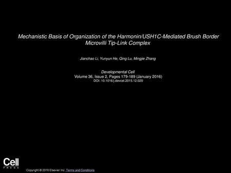 Mechanistic Basis of Organization of the Harmonin/USH1C-Mediated Brush Border Microvilli Tip-Link Complex  Jianchao Li, Yunyun He, Qing Lu, Mingjie Zhang 