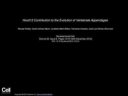 Hoxd13 Contribution to the Evolution of Vertebrate Appendages