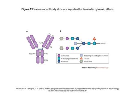 Nat. Rev. Rheumatol. doi: /nrrheum