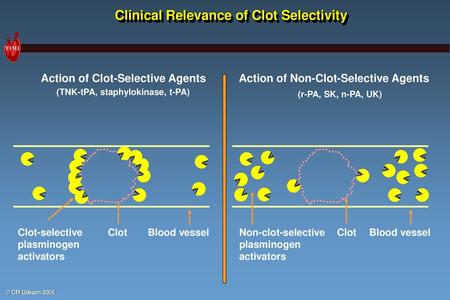 Clinical Relevance of Clot Selectivity