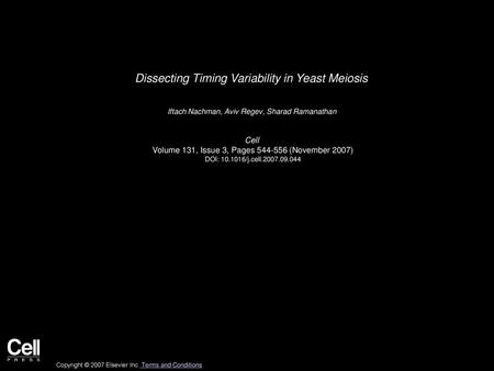 Dissecting Timing Variability in Yeast Meiosis