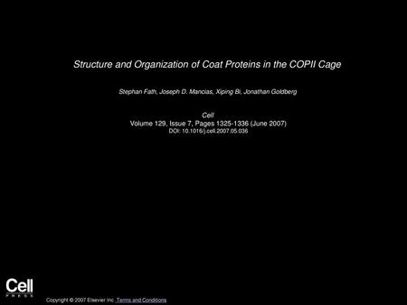 Structure and Organization of Coat Proteins in the COPII Cage