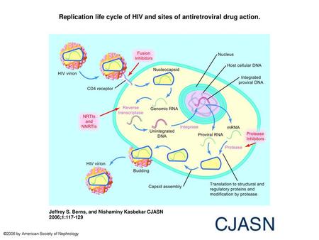 Replication life cycle of HIV and sites of antiretroviral drug action.