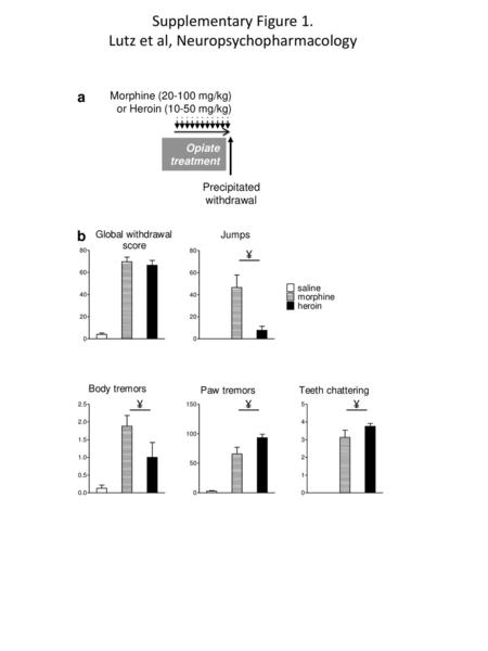 Lutz et al, Neuropsychopharmacology