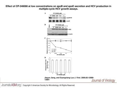 Effect of CP-346086 at low concentrations on apoB and apoE secretion and HCV production in multiple-cycle HCV growth assays. Effect of CP-346086 at low.