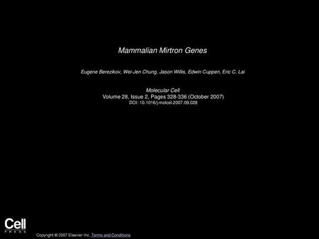 Mammalian Mirtron Genes