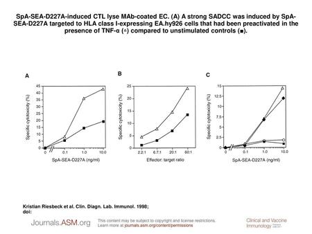 SpA-SEA-D227A-induced CTL lyse MAb-coated EC