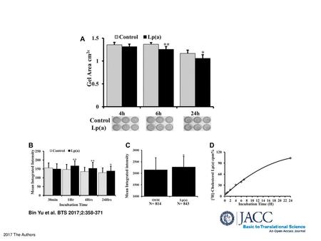 Effects of Lp(a) on HAVIC Gel Contraction, β-Catenin Nuclear Translocation, and Lp(a) Uptake (A) Effect of Lp(a) treatment on gel contraction. Lp(a)-treated.