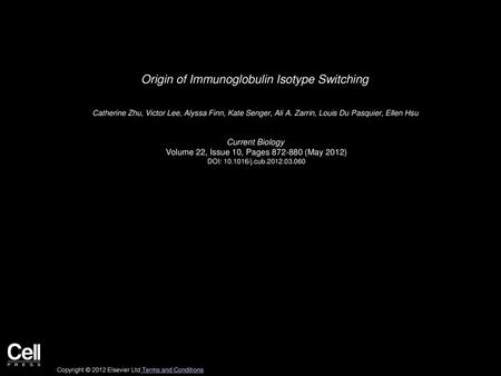 Origin of Immunoglobulin Isotype Switching