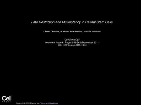 Fate Restriction and Multipotency in Retinal Stem Cells