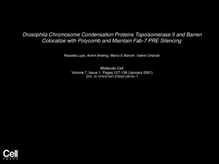 Drosophila Chromosome Condensation Proteins Topoisomerase II and Barren Colocalize with Polycomb and Maintain Fab-7 PRE Silencing  Rossella Lupo, Achim.