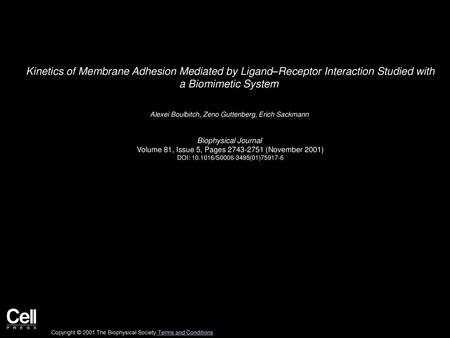 Kinetics of Membrane Adhesion Mediated by Ligand–Receptor Interaction Studied with a Biomimetic System  Alexei Boulbitch, Zeno Guttenberg, Erich Sackmann 