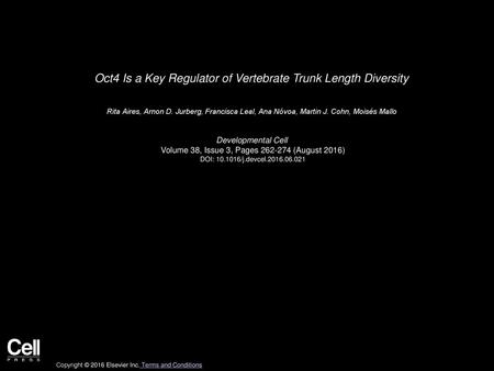 Oct4 Is a Key Regulator of Vertebrate Trunk Length Diversity