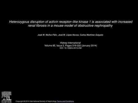 Heterozygous disruption of activin receptor–like kinase 1 is associated with increased renal fibrosis in a mouse model of obstructive nephropathy  José.