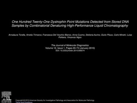 One Hundred Twenty-One Dystrophin Point Mutations Detected from Stored DNA Samples by Combinatorial Denaturing High-Performance Liquid Chromatography 