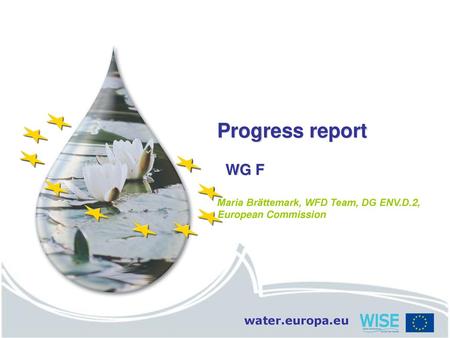 Progress report WG F Maria Brättemark, WFD Team, DG ENV.D.2, European Commission.