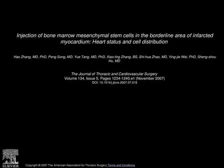 Injection of bone marrow mesenchymal stem cells in the borderline area of infarcted myocardium: Heart status and cell distribution  Hao Zhang, MD, PhD,