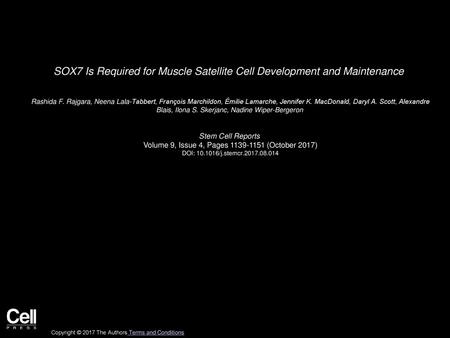 SOX7 Is Required for Muscle Satellite Cell Development and Maintenance