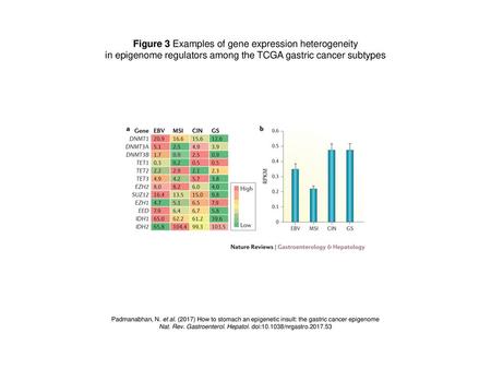 Figure 3 Examples of gene expression heterogeneity