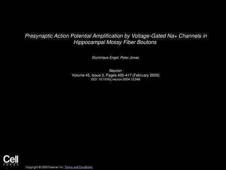 Presynaptic Action Potential Amplification by Voltage-Gated Na+ Channels in Hippocampal Mossy Fiber Boutons  Dominique Engel, Peter Jonas  Neuron  Volume.