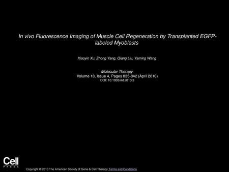 Xiaoyin Xu, Zhong Yang, Qiang Liu, Yaming Wang  Molecular Therapy 