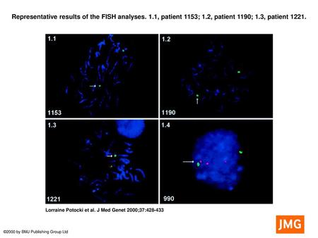 Representative results of the FISH analyses. 1. 1, patient 1153; 1