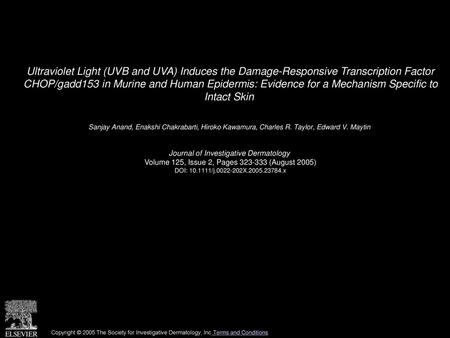 Ultraviolet Light (UVB and UVA) Induces the Damage-Responsive Transcription Factor CHOP/gadd153 in Murine and Human Epidermis: Evidence for a Mechanism.