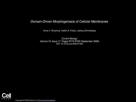 Domain-Driven Morphogenesis of Cellular Membranes