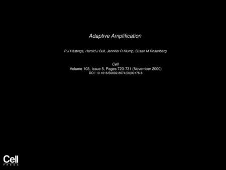 Adaptive Amplification