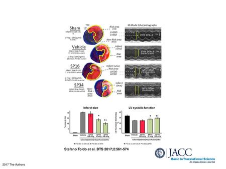 Stefano Toldo et al. BTS 2017;2: