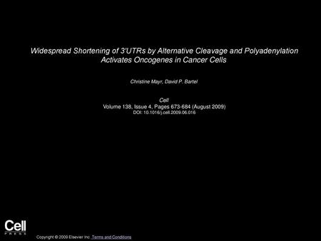 Widespread Shortening of 3′UTRs by Alternative Cleavage and Polyadenylation Activates Oncogenes in Cancer Cells  Christine Mayr, David P. Bartel  Cell 