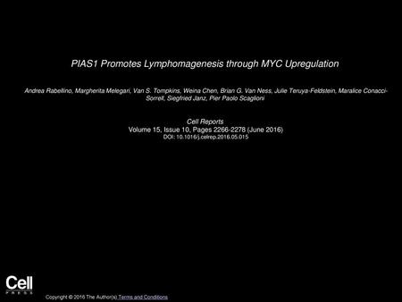 PIAS1 Promotes Lymphomagenesis through MYC Upregulation