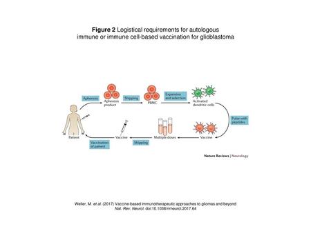 Figure 2 Logistical requirements for autologous